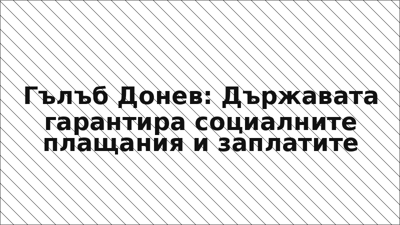 Гълъб Донев: Държавата гарантира социалните плащания и заплатите