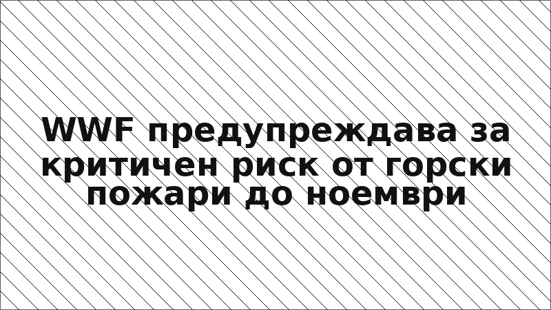 WWF предупреждава за критичен риск от горски пожари до ноември
