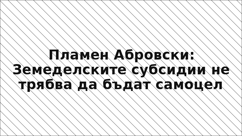 Пламен Абровски: Земеделските субсидии не трябва да бъдат самоцел
