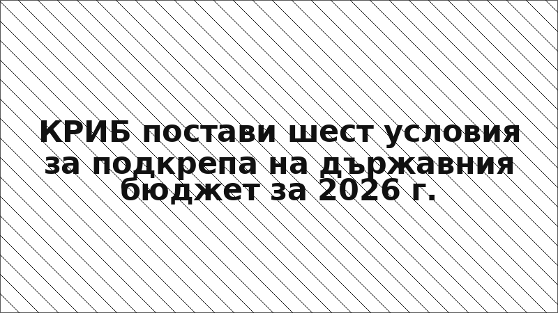 КРИБ постави шест условия за подкрепа на държавния бюджет за 2026 г.