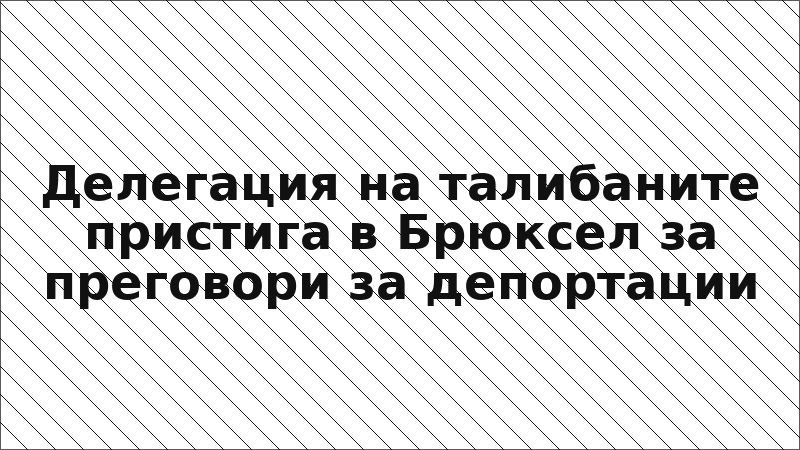 Делегация на талибаните пристига в Брюксел за преговори за депортации