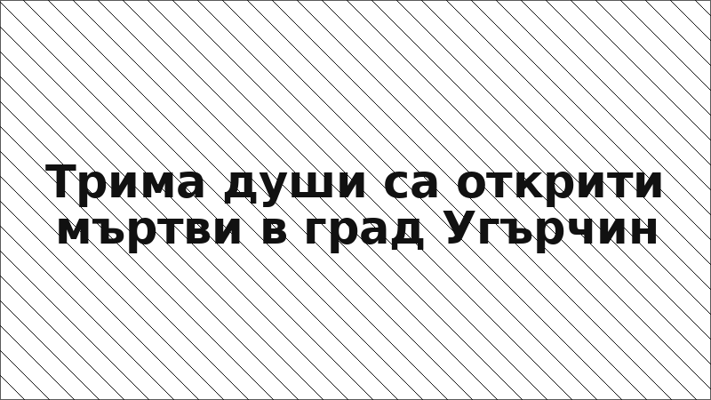 Трима души са открити мъртви в град Угърчин