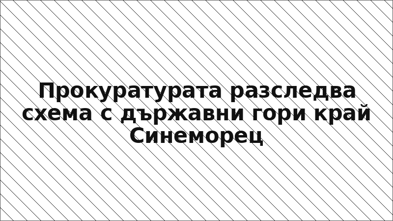 Прокуратурата разследва схема с държавни гори край Синеморец