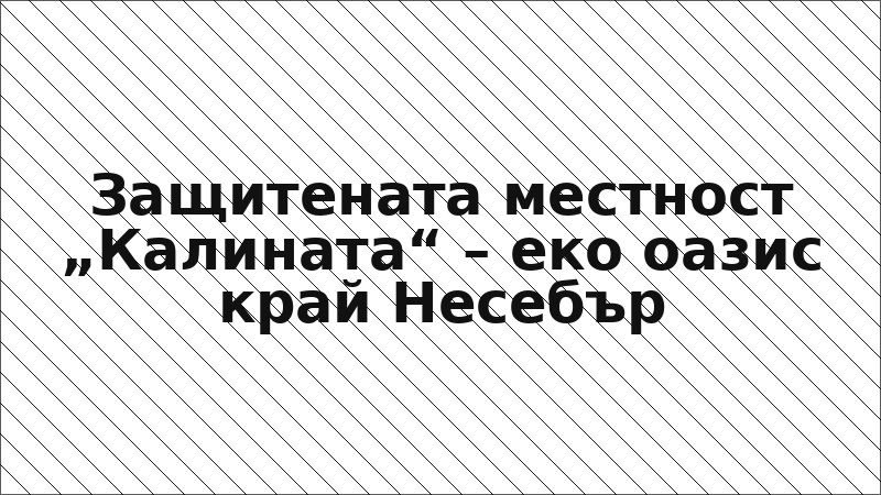 Защитената местност „Калината“ – еко оазис край Несебър