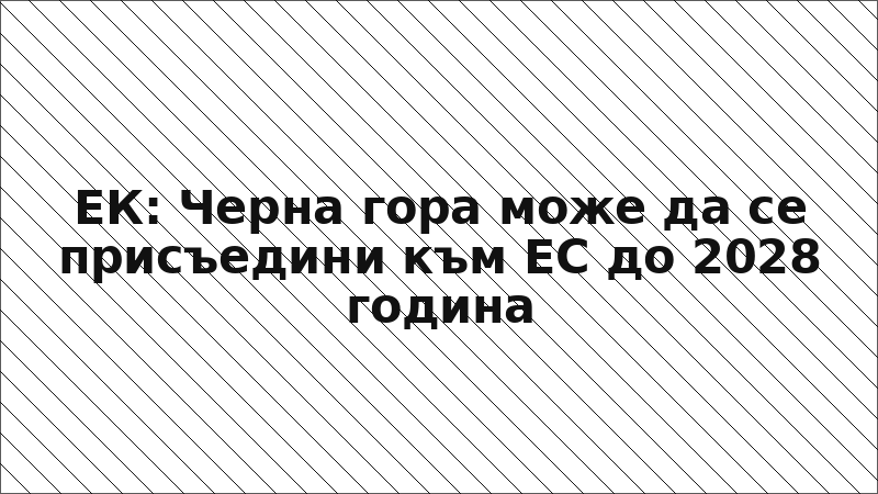 ЕК: Черна гора може да се присъедини към ЕС до 2028 година