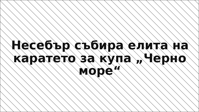 Несебър събира елита на каратето за купа „Черно море“