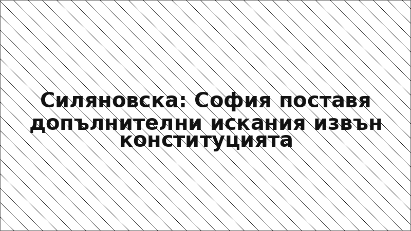 Силяновска: София поставя допълнителни искания извън конституцията