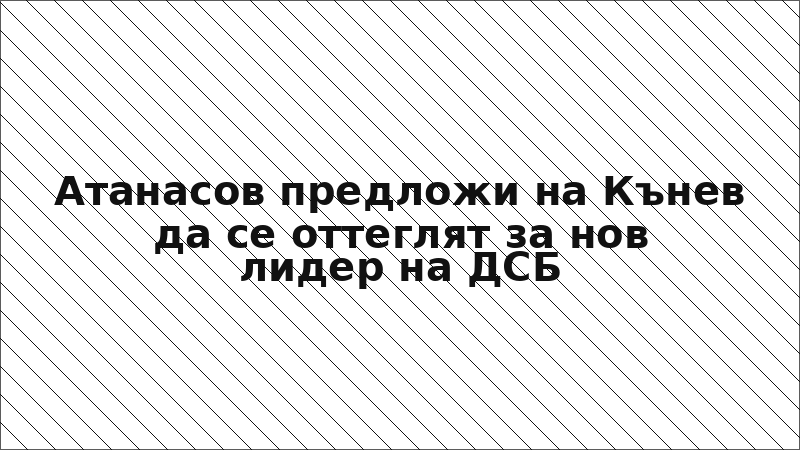 Атанасов предложи на Кънев да се оттеглят за нов лидер на ДСБ