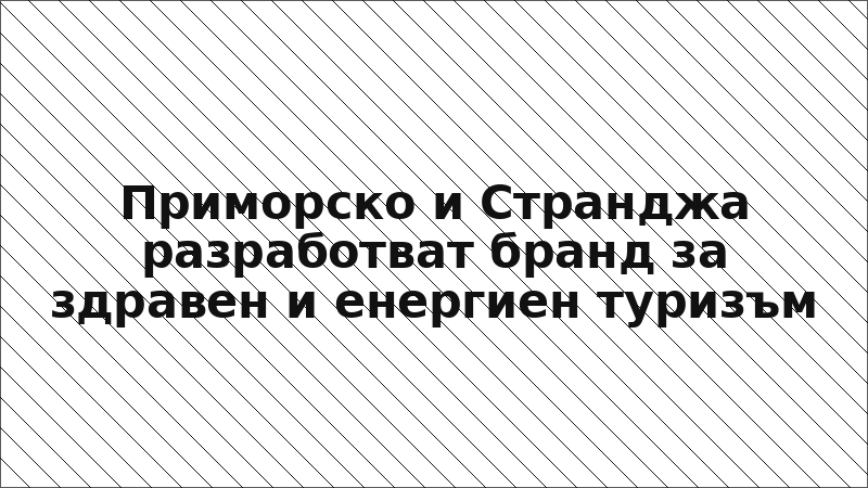 Приморско и Странджа разработват бранд за здравен и енергиен туризъм