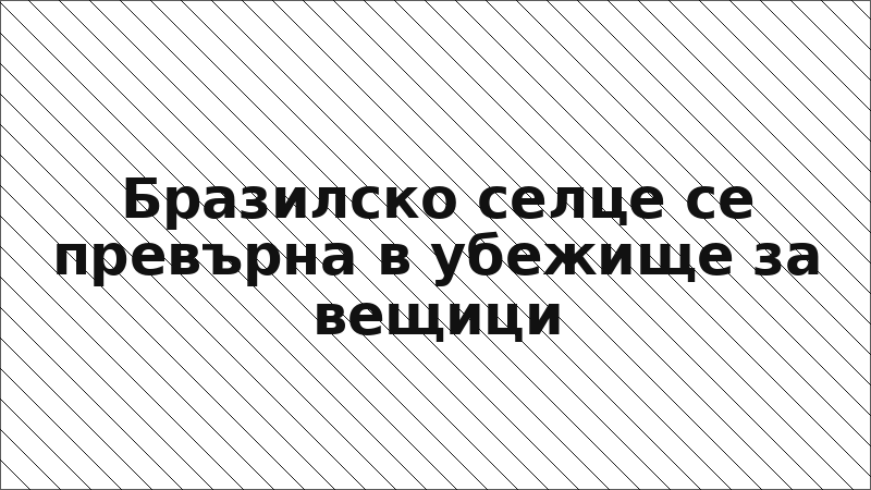 Бразилско селце се превърна в убежище за вещици