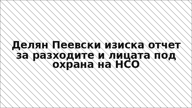 Делян Пеевски изиска отчет за разходите и лицата под охрана на НСО