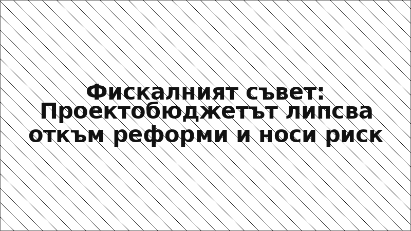 Фискалният съвет: Проектобюджетът липсва откъм реформи и носи риск