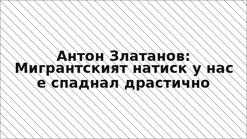 Антон Златанов: Мигрантският натиск у нас е спаднал драстично