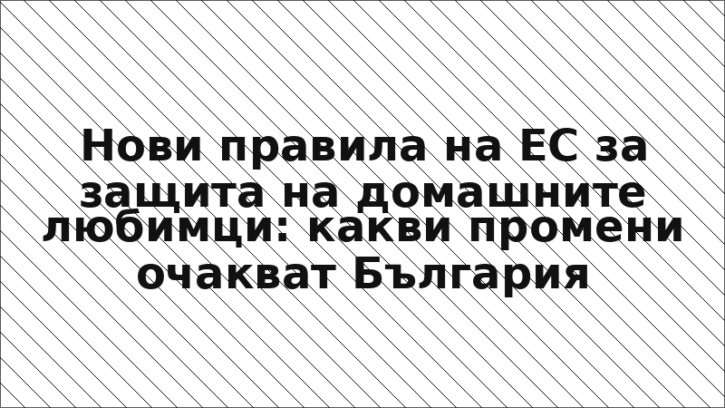 Нови правила на ЕС за защита на домашните любимци: какви промени очакват България
