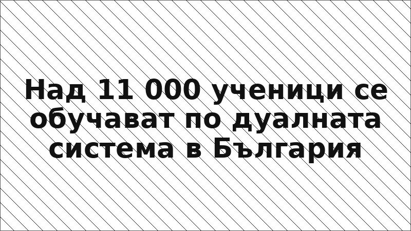 Над 11 000 ученици се обучават по дуалната система в България