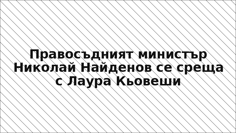 Правосъдният министър Николай Найденов се среща с Лаура Кьовеши