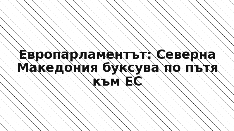 Европарламентът: Северна Македония буксува по пътя към ЕС