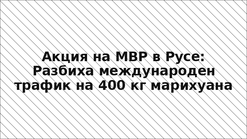 Акция на МВР в Русе: Разбиха международен трафик на 400 кг марихуана