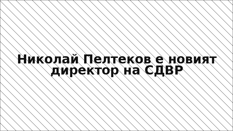 Николай Пелтеков е новият директор на СДВР