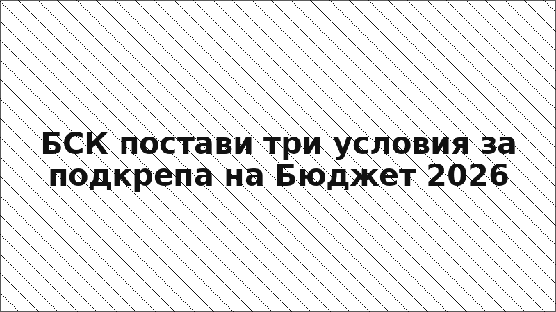 БСК постави три условия за подкрепа на Бюджет 2026