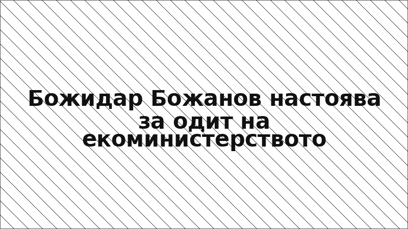 Божидар Божанов настоява за одит на екоминистерството