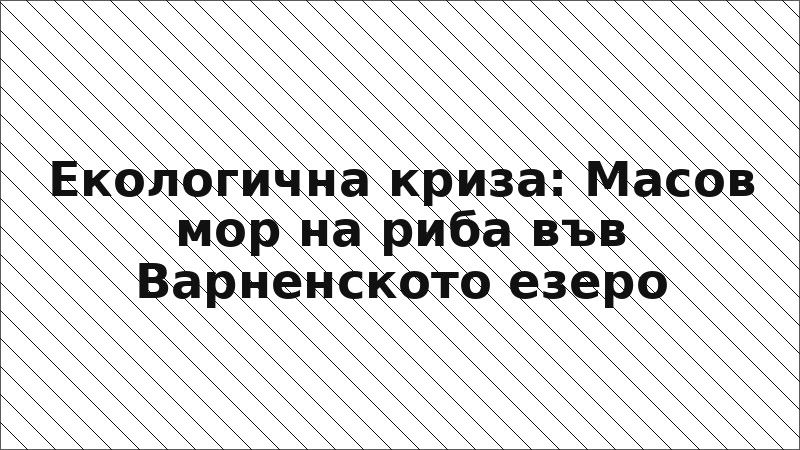 Екологична криза: Масов мор на риба във Варненското езеро