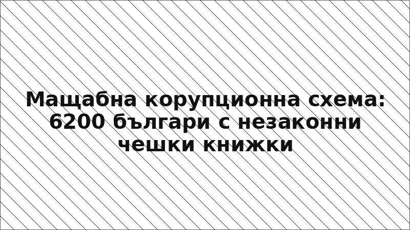 Мащабна корупционна схема: 6200 българи с незаконни чешки книжки