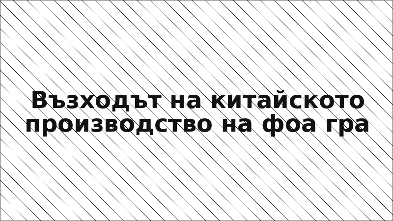 Възходът на китайското производство на фоа гра