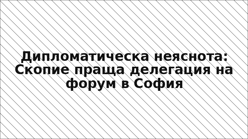 Дипломатическа неяснота: Скопие праща делегация на форум в София