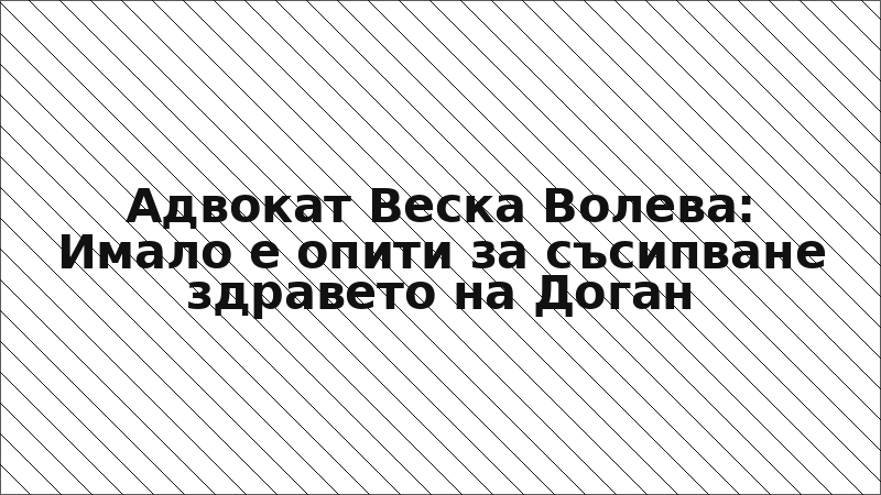 Адвокат Веска Волева: Имало е опити за съсипване здравето на Доган