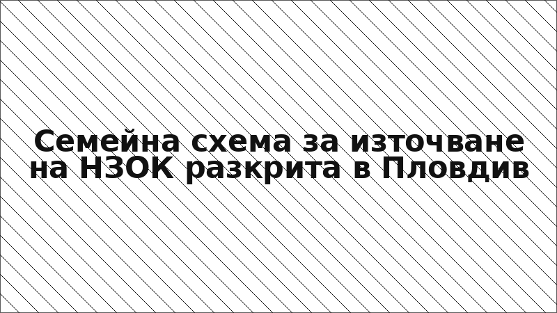 Семейна схема за източване на НЗОК разкрита в Пловдив