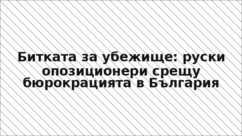 Битката за убежище: руски опозиционери срещу бюрокрацията в България