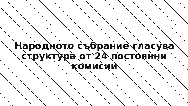 Народното събрание гласува структура от 24 постоянни комисии