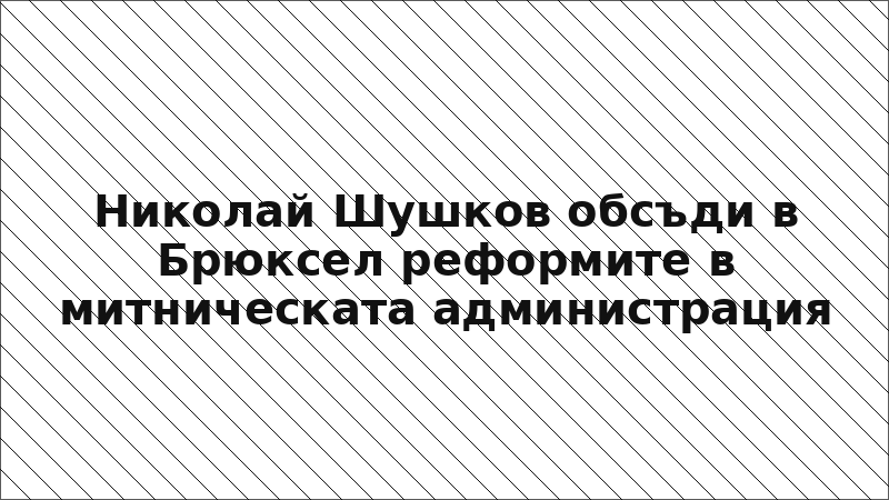 Николай Шушков обсъди в Брюксел реформите в митническата администрация