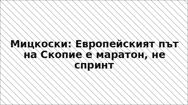 Мицкоски: Европейският път на Скопие е маратон, не спринт