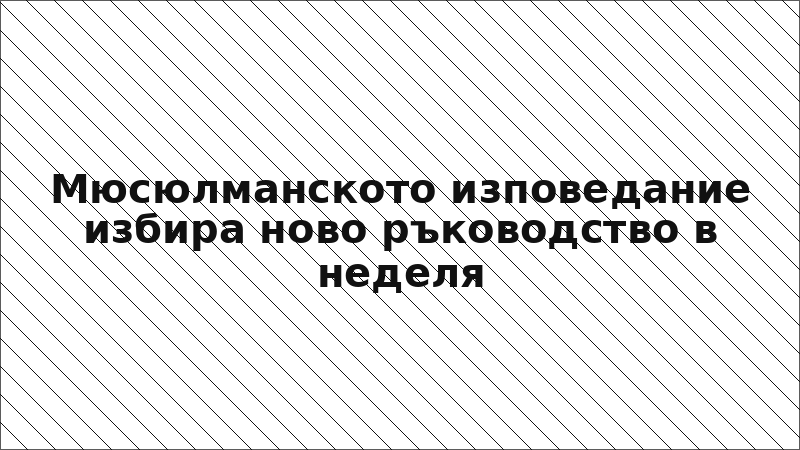 Мюсюлманското изповедание избира ново ръководство в неделя