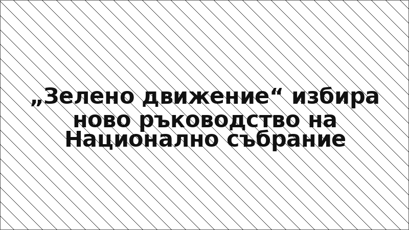„Зелено движение“ избира ново ръководство на Национално събрание
