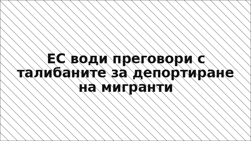 ЕС води преговори с талибаните за депортиране на мигранти