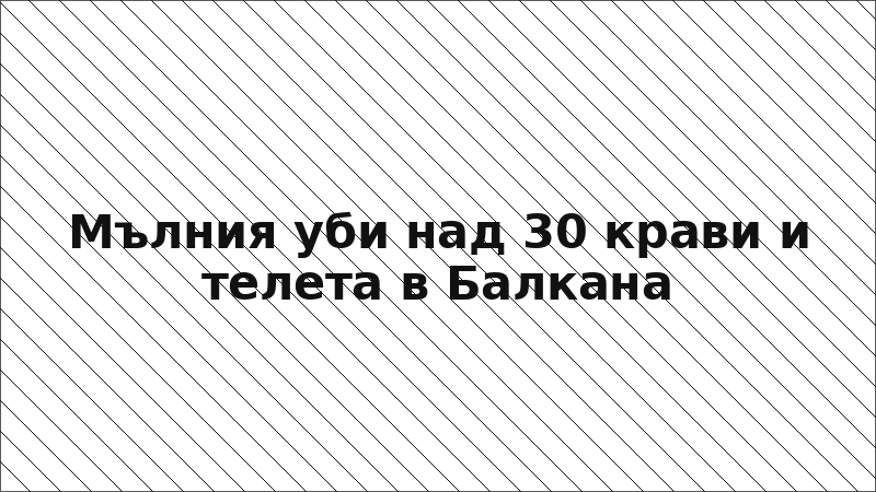 Мълния уби над 30 крави и телета в Балкана