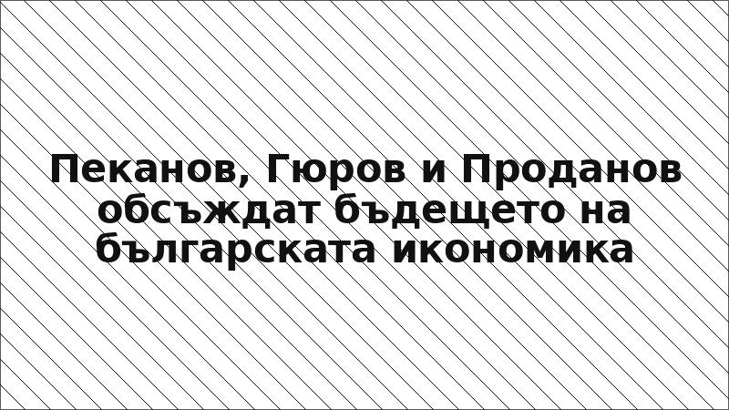 Пеканов, Гюров и Проданов обсъждат бъдещето на българската икономика