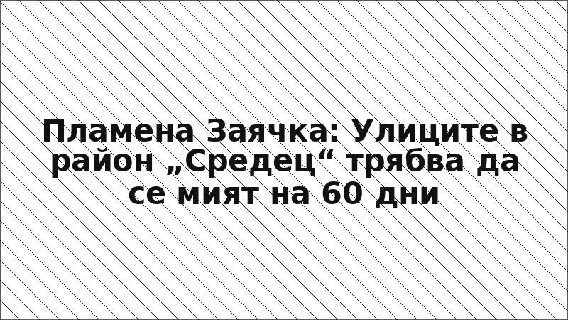 Пламена Заячка: Улиците в район „Средец“ трябва да се мият на 60 дни
