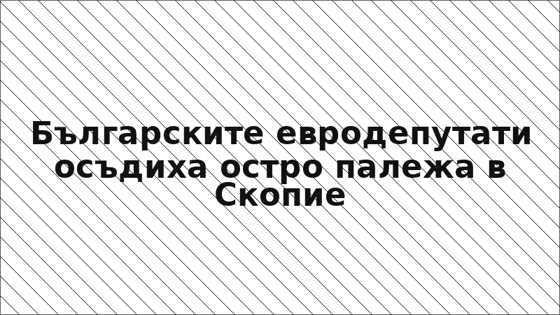 Българските евродепутати осъдиха остро палежа в Скопие