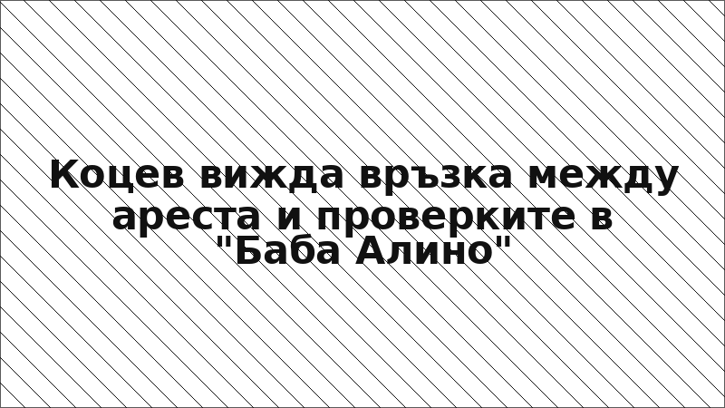 Коцев вижда връзка между ареста и проверките в "Баба Алино"