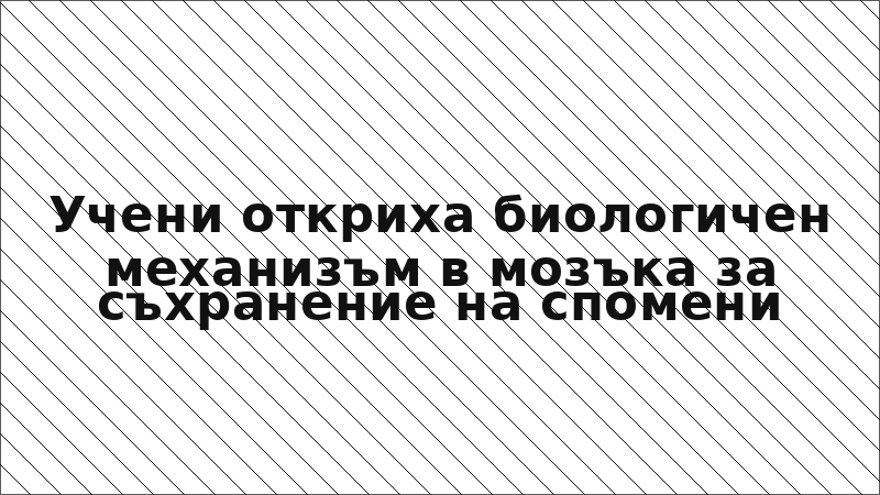 Учени откриха биологичен механизъм в мозъка за съхранение на спомени