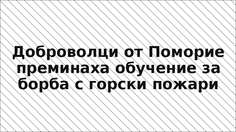Доброволци от Поморие преминаха обучение за борба с горски пожари