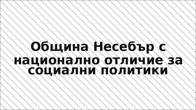 Община Несебър с национално отличие за социални политики