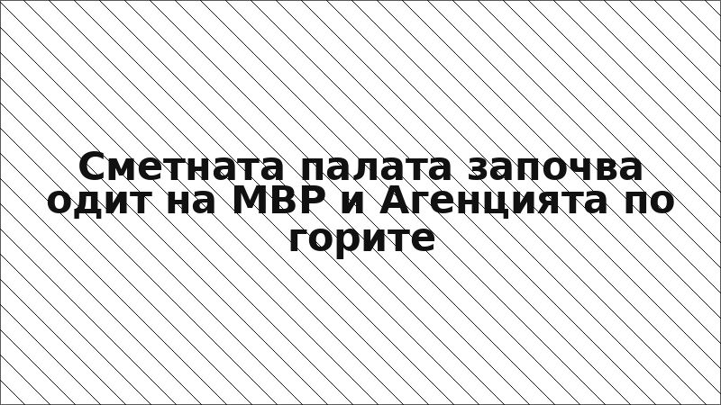 Сметната палата започва одит на МВР и Агенцията по горите