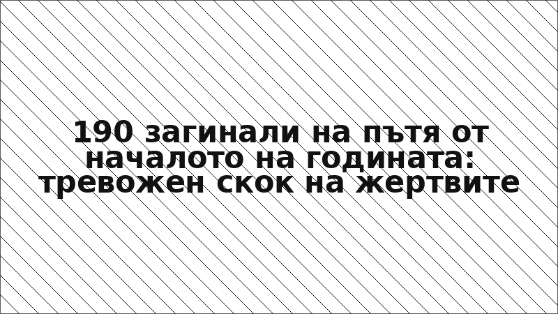 190 загинали на пътя от началото на годината: тревожен скок на жертвите