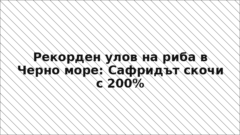 Рекорден улов на риба в Черно море: Сафридът скочи с 200%
