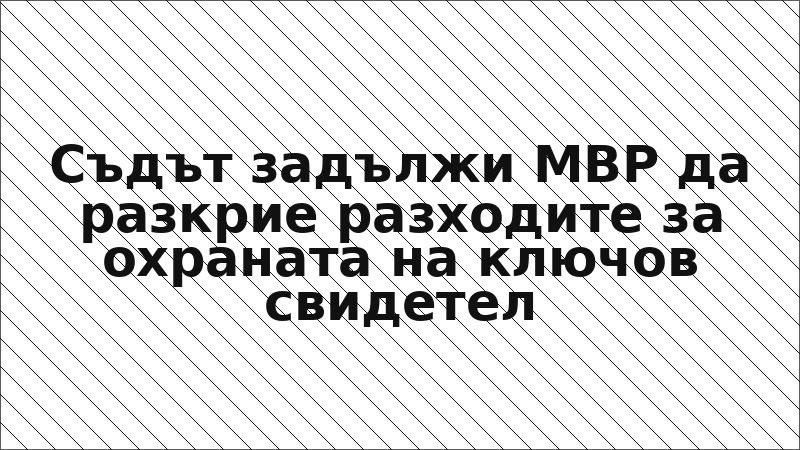 Съдът задължи МВР да разкрие разходите за охраната на ключов свидетел